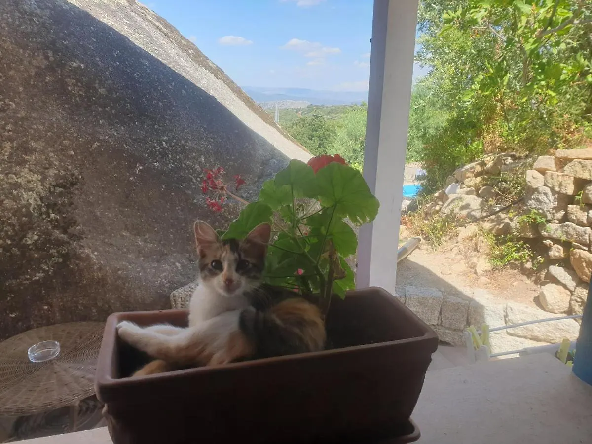 B&B Tiscali Dorgali Italy